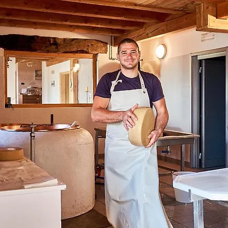 Farm stay Nestalp Malga Campo