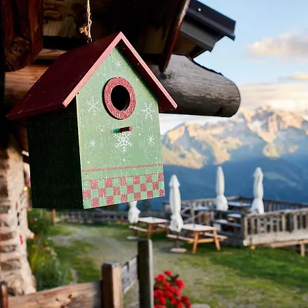 Nestalp Malga Campo Farm stay Peio