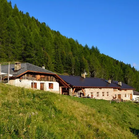 Nestalp Malga Campo Peio