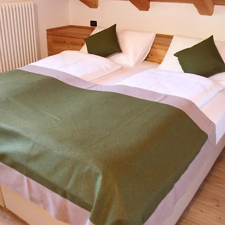 Farm stay Nestalp Malga Campo *
