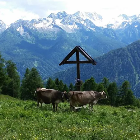 Nestalp Malga Campo * Peio